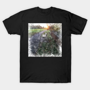 Park Bench at Sunset T-Shirt